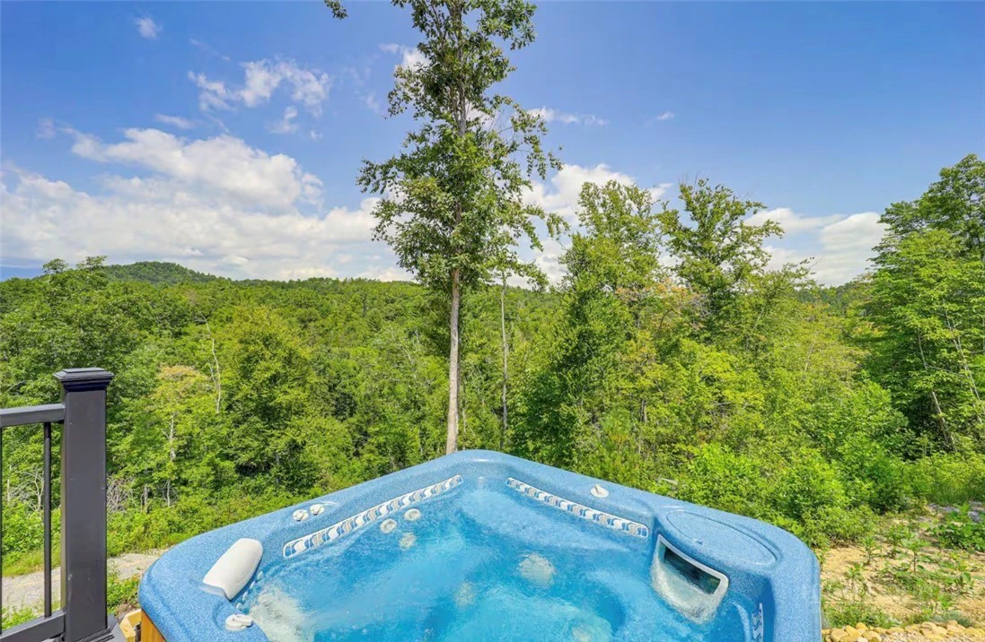 Image number 3 for the current listing