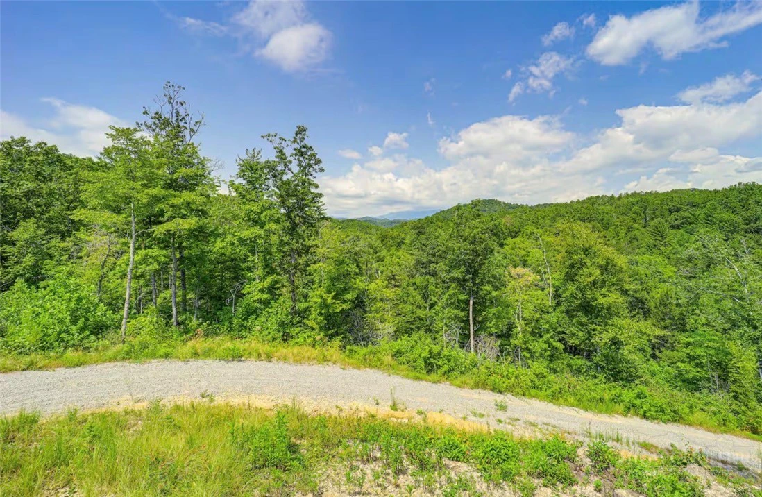 Image number 8 for the current listing