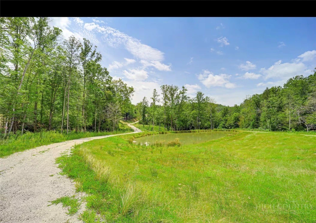 Image number 9 for the current listing