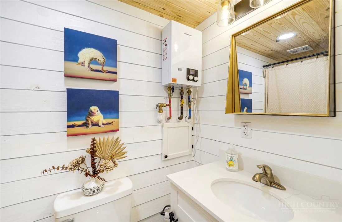 Image number 10 for the current listing