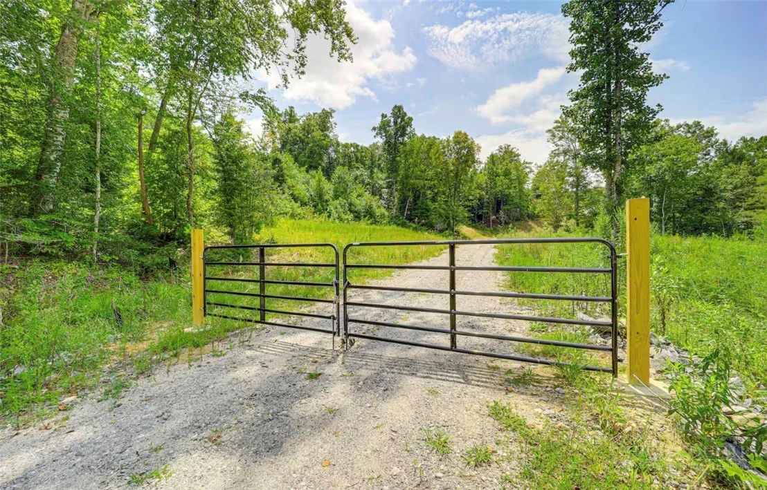 Image number 19 for the current listing