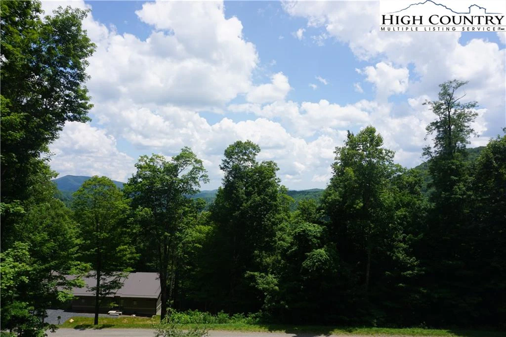 Image number 14 for the current listing