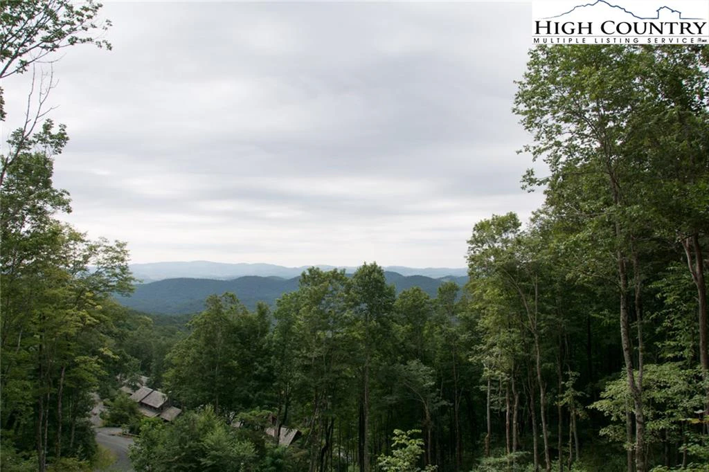 Image number 3 for the current listing