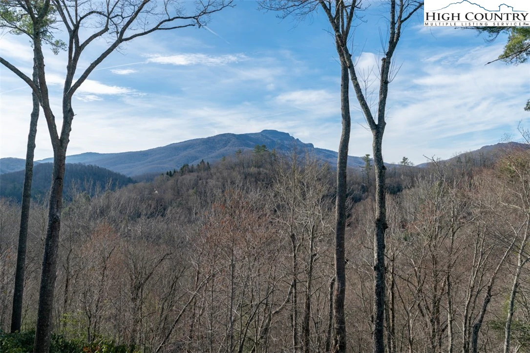 Image number 3 for the current listing