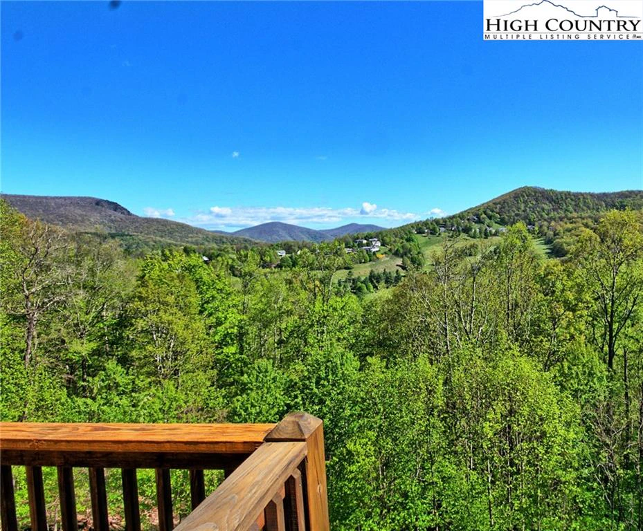 Image number 10 for the current listing