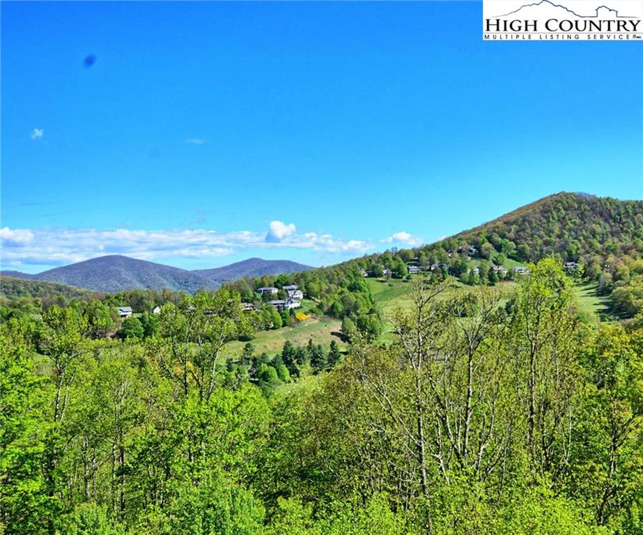 Image number 9 for the current listing