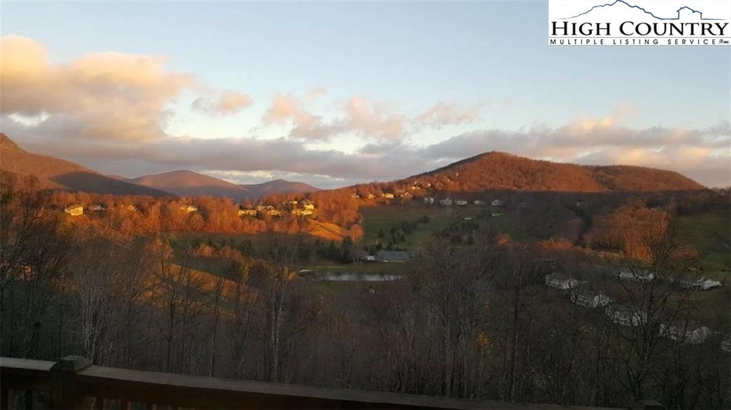 Image number 4 for the current listing