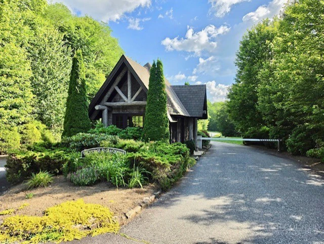 Image number 8 for the current listing
