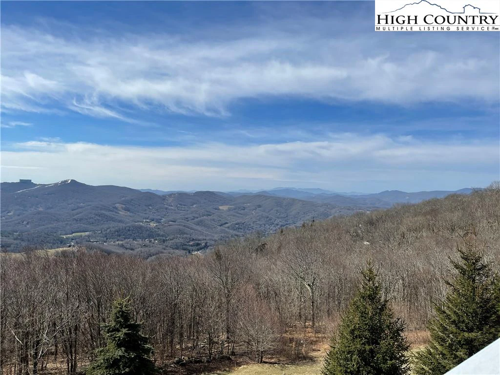 Image number 1 for the current listing
