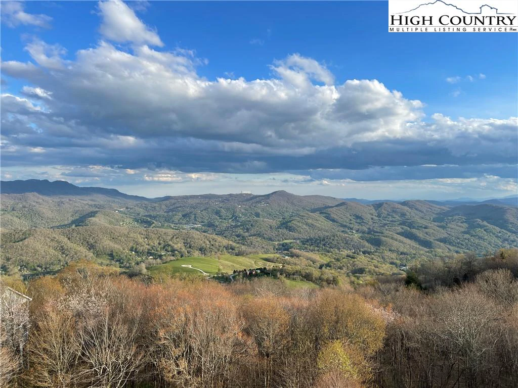 Image number 1 for the current listing