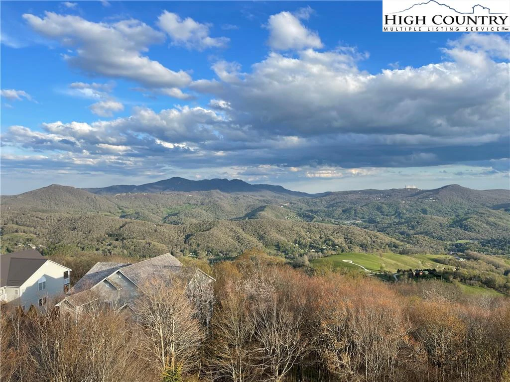 Image number 16 for the current listing