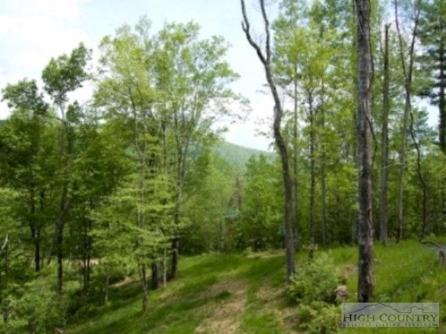 Image number 11 for the current listing