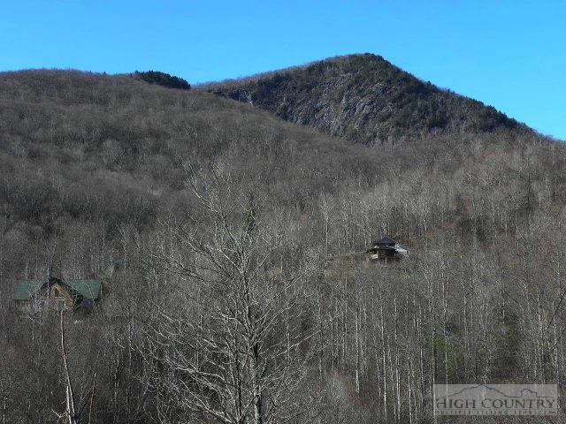 Image number 12 for the current listing