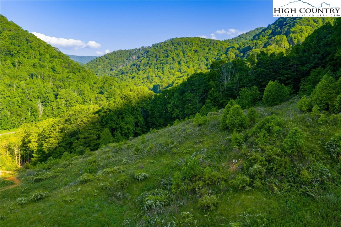 Image number 4 for the current listing