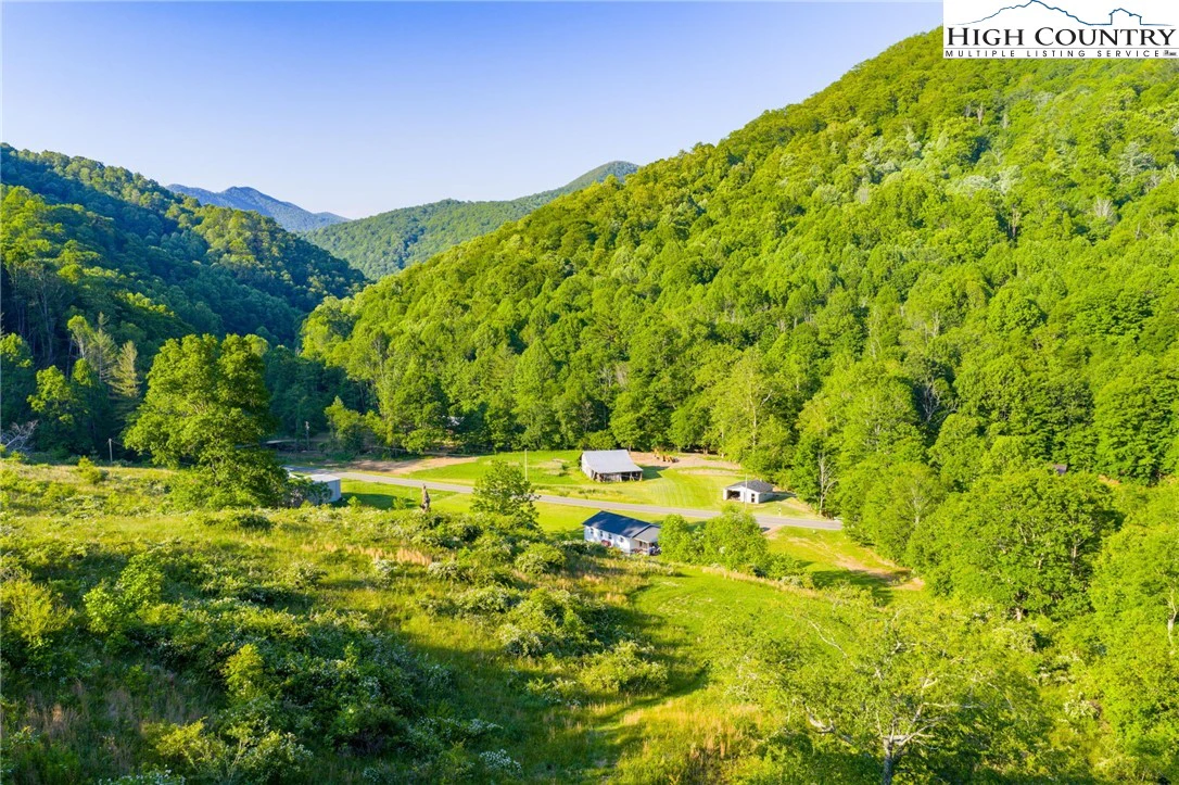Image number 7 for the current listing