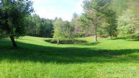 Image number 1 for the current listing