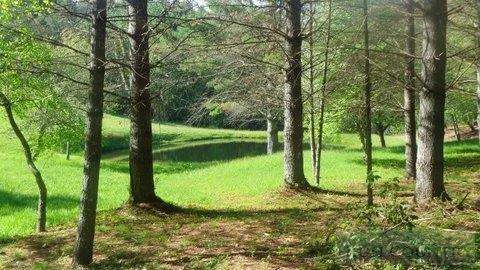 Image number 30 for the current listing