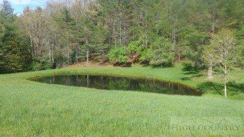 Image number 9 for the current listing
