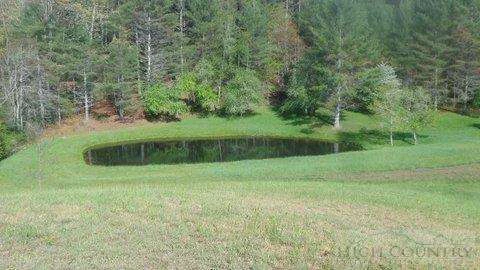 Image number 6 for the current listing
