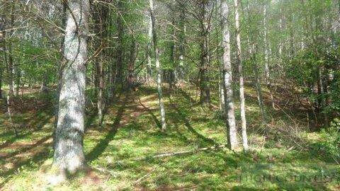 Image number 5 for the current listing