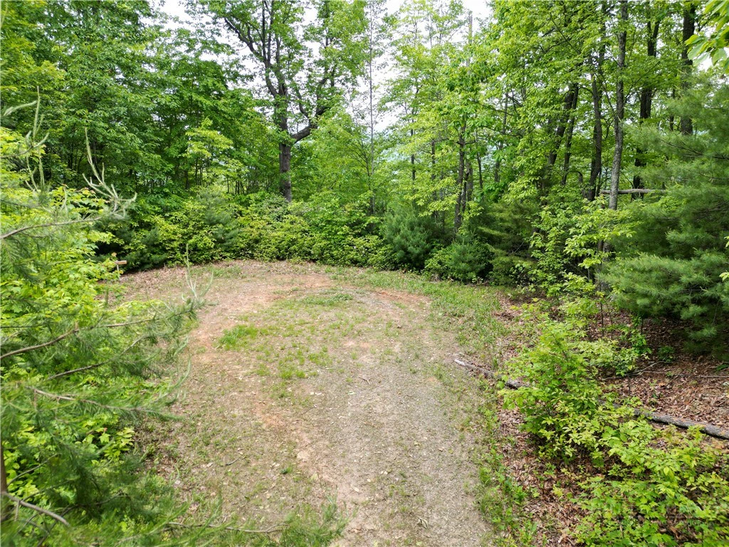 Image number 1 for the current listing