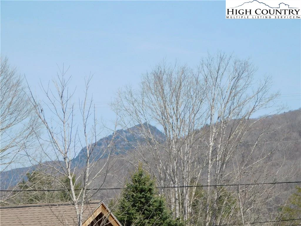 Image number 2 for the current listing