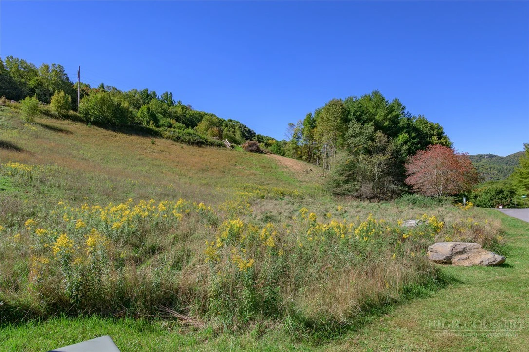 Image number 2 for the current listing