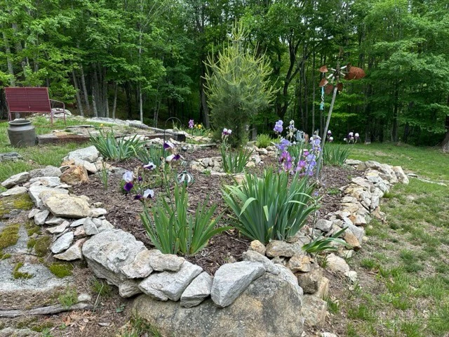 Image number 8 for the current listing
