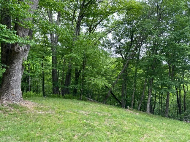 Image number 10 for the current listing