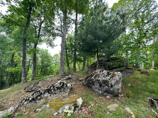 Image number 14 for the current listing