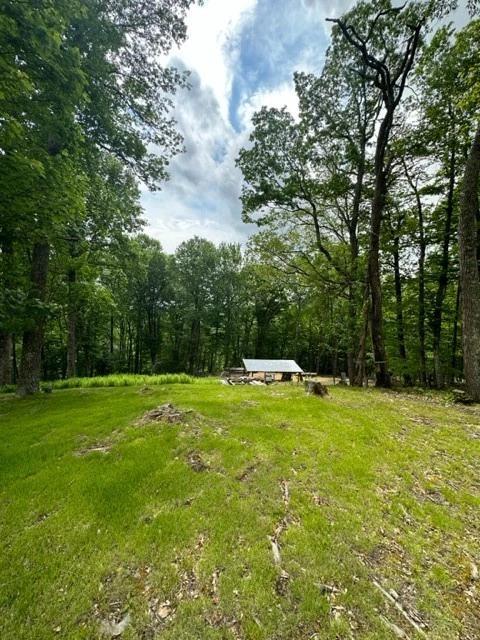 Image number 15 for the current listing