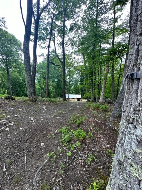 Image number 20 for the current listing