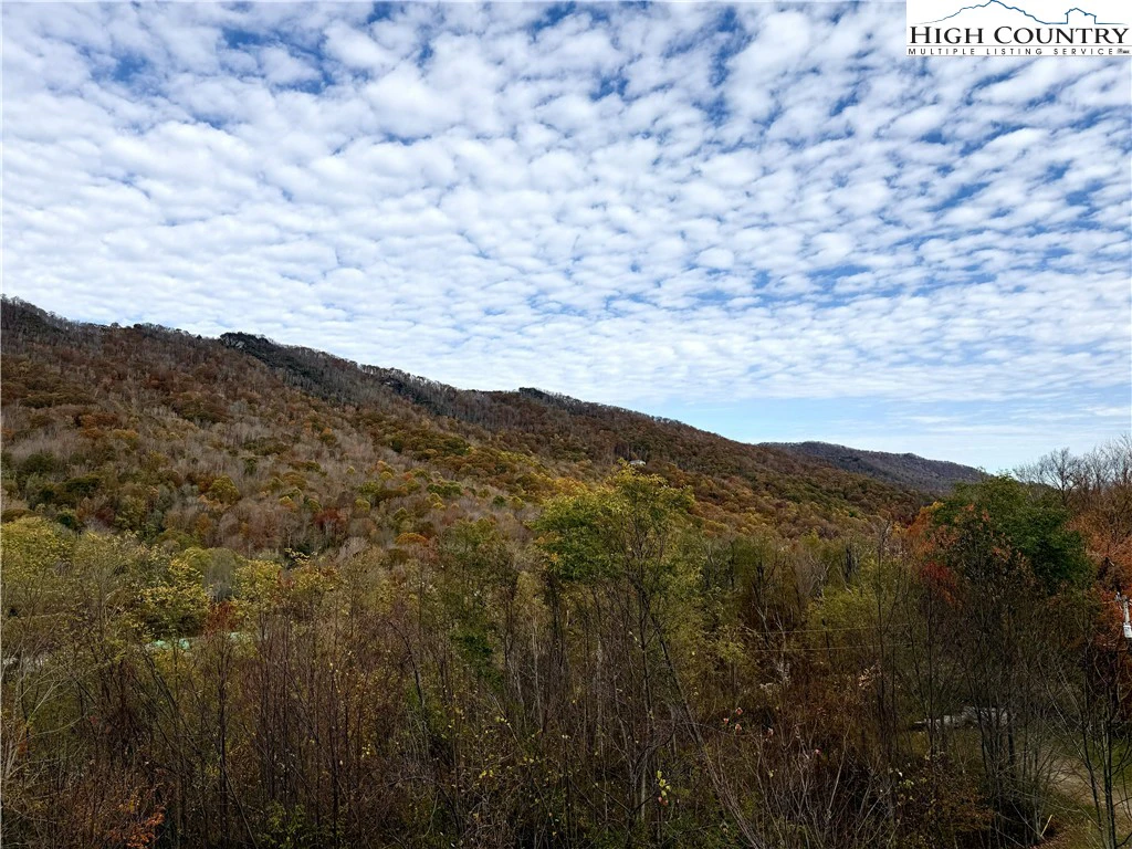 Image number 1 for the current listing