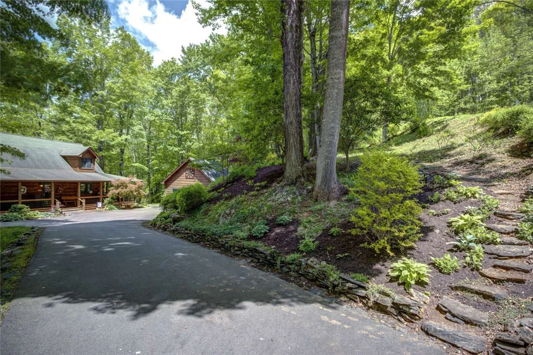 Image number 13 for the current listing