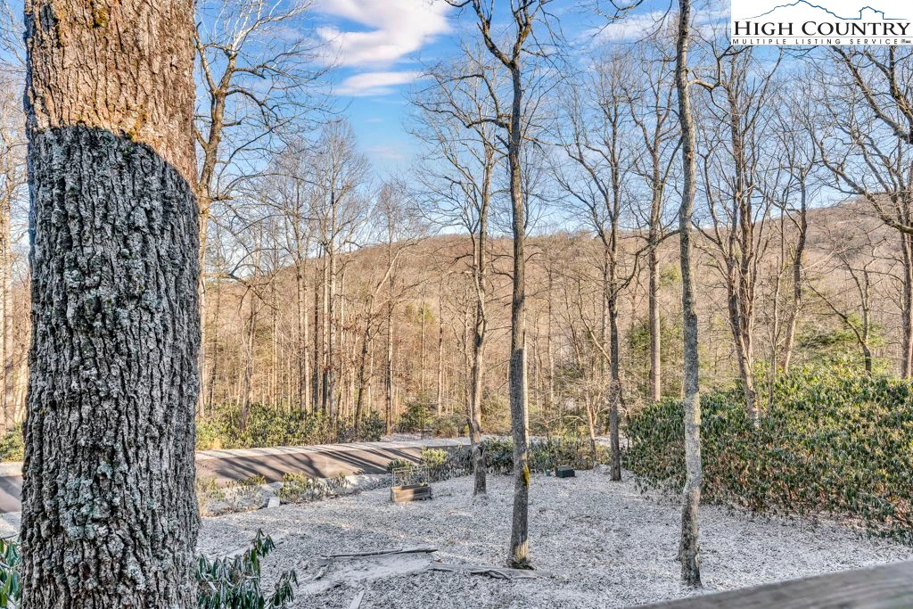 Image number 16 for the current listing