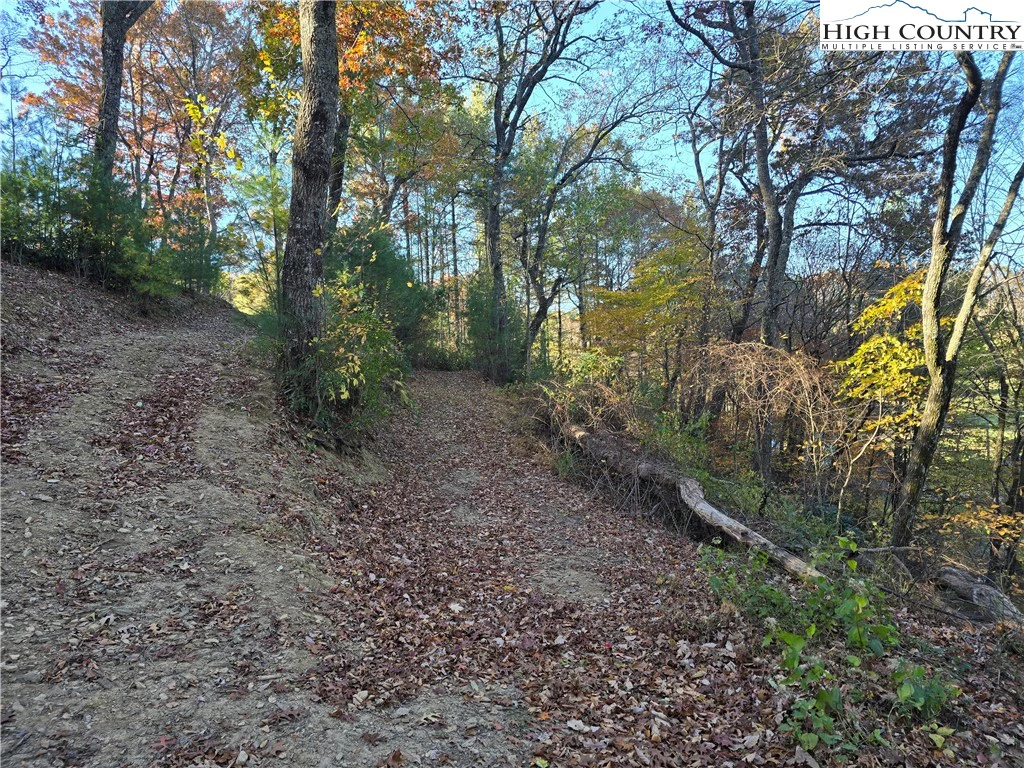 Image number 11 for the current listing