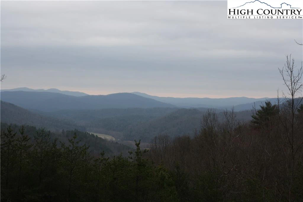 Image number 15 for the current listing