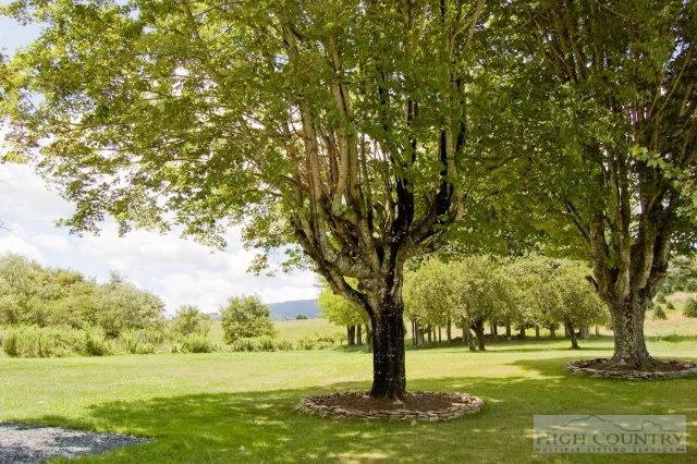 Image number 2 for the current listing