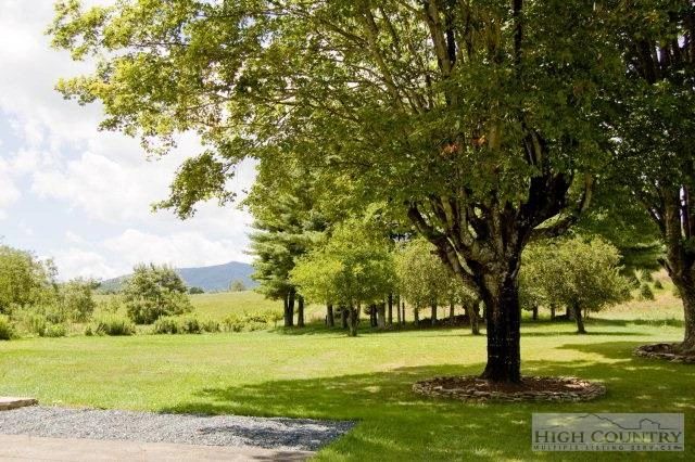 Image number 8 for the current listing