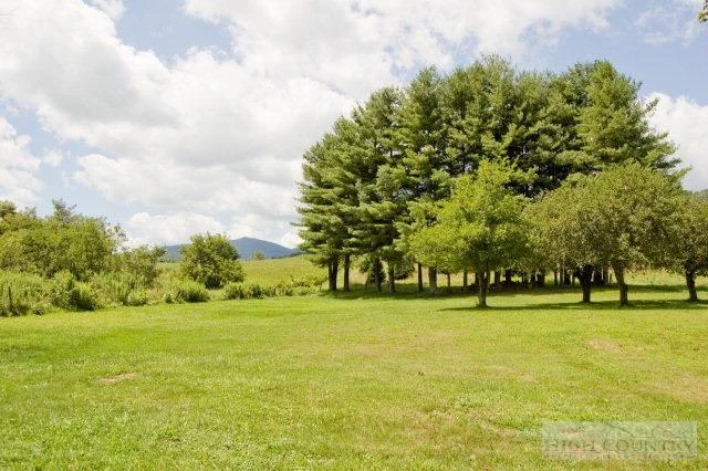 Image number 6 for the current listing