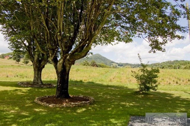 Image number 5 for the current listing