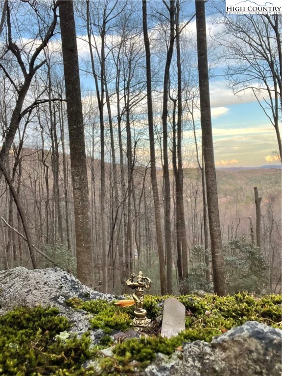 Image number 1 for the current listing
