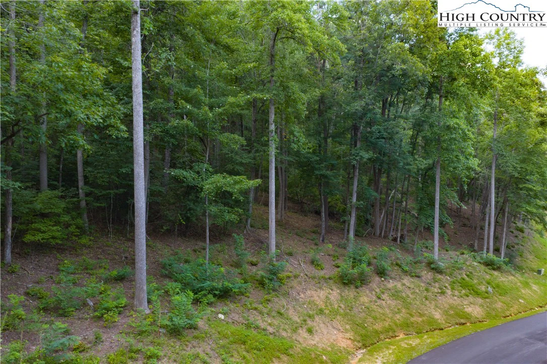 Image number 13 for the current listing