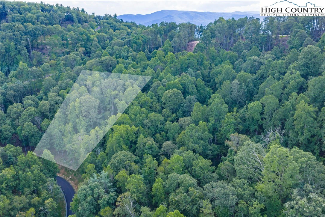 Image number 6 for the current listing