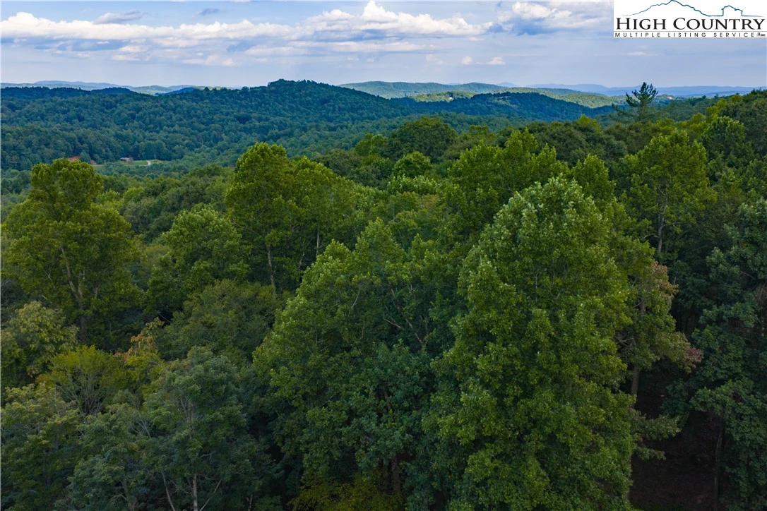 Image number 3 for the current listing