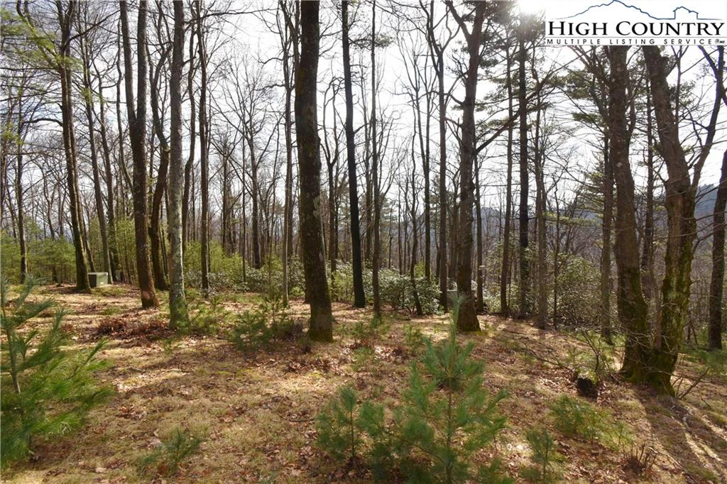 Image number 21 for the current listing
