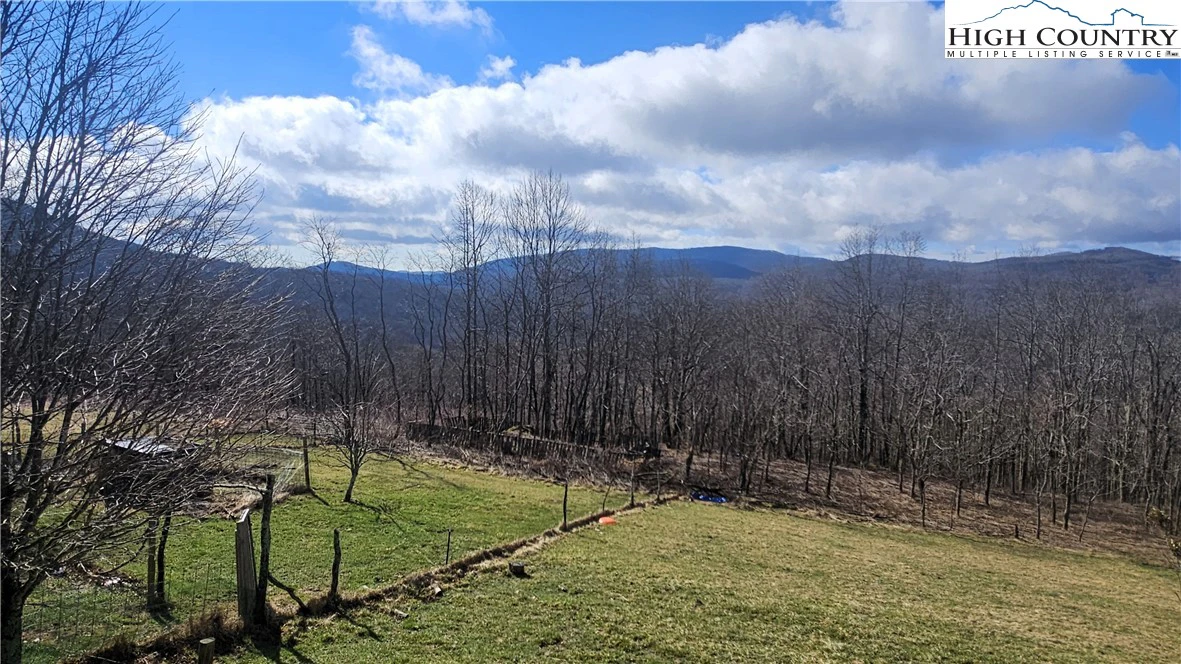 Image number 14 for the current listing