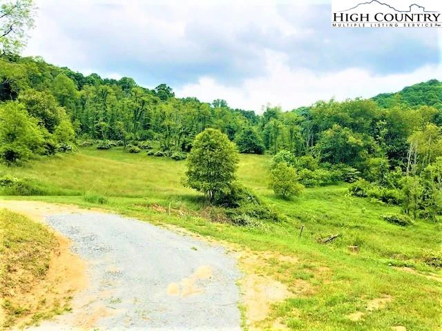 Image number 18 for the current listing