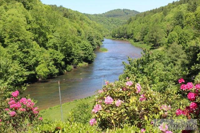 Image number 1 for the current listing