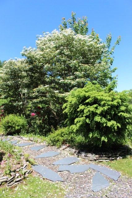 Image number 8 for the current listing